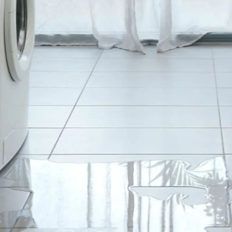 Appliance Leak Cleanup in Lompico, CA