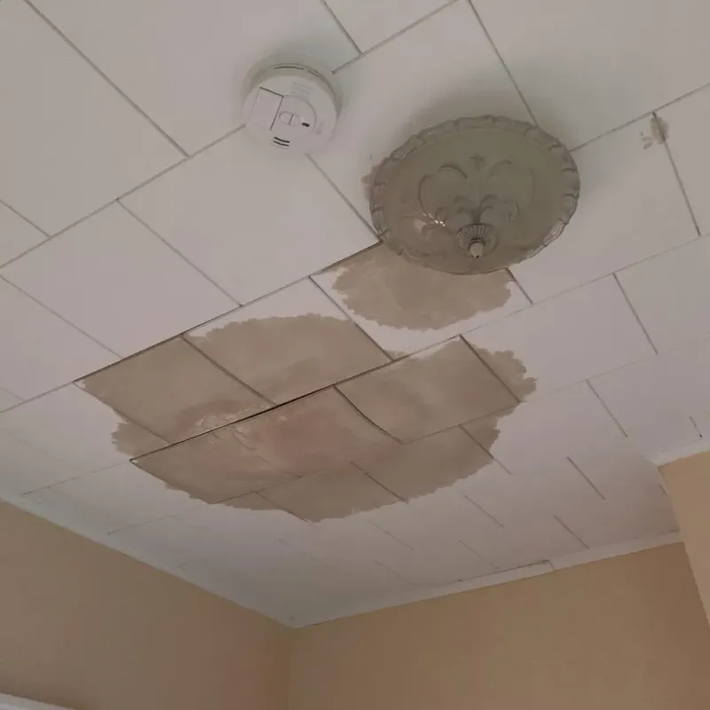 Ceiling Water Damage Repair in Lompico, CA