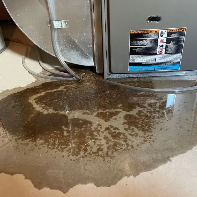 Pipe Burst and Leak Restoration in Lompico, CA