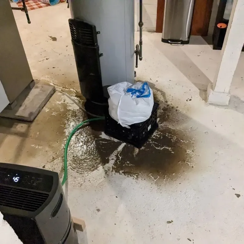 Sewage Backup Cleanup Service in Lompico, CA